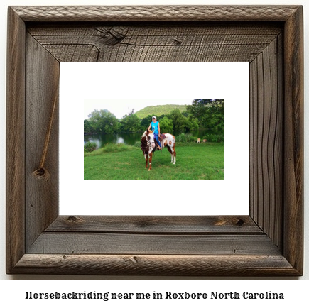 horseback riding near me in Roxboro, North Carolina